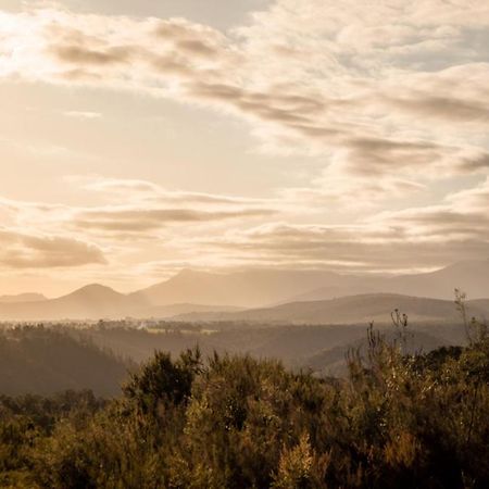 Forest Harmony Knysna Luaran gambar
