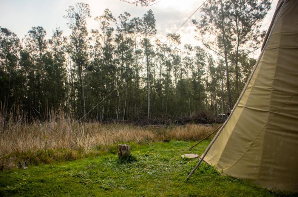 Forest Harmony Knysna Luaran gambar