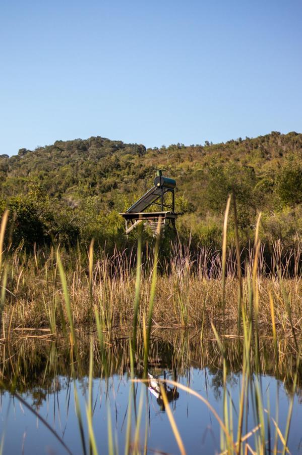 Forest Harmony Knysna Luaran gambar