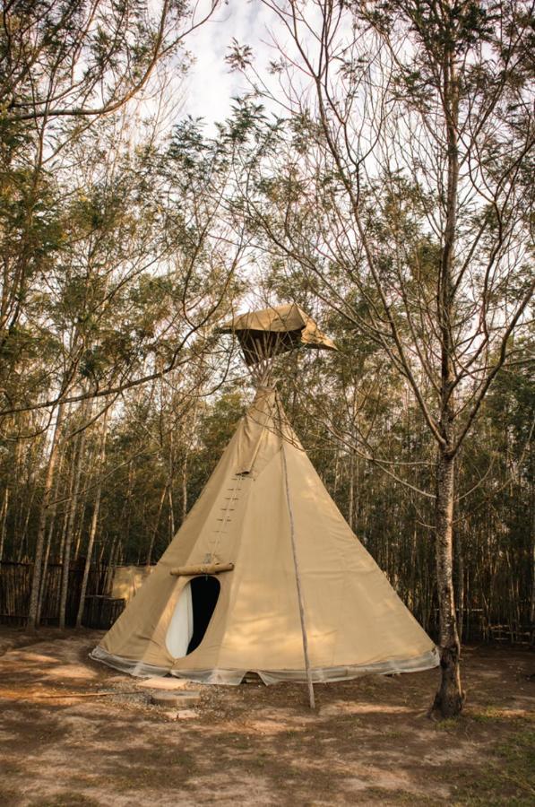 Forest Harmony Knysna Luaran gambar
