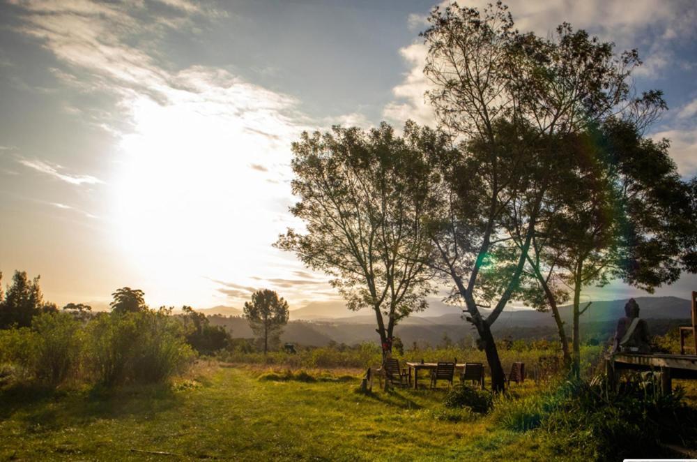 Forest Harmony Knysna Luaran gambar